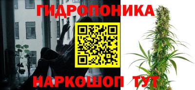 прущие грибы Назарово
