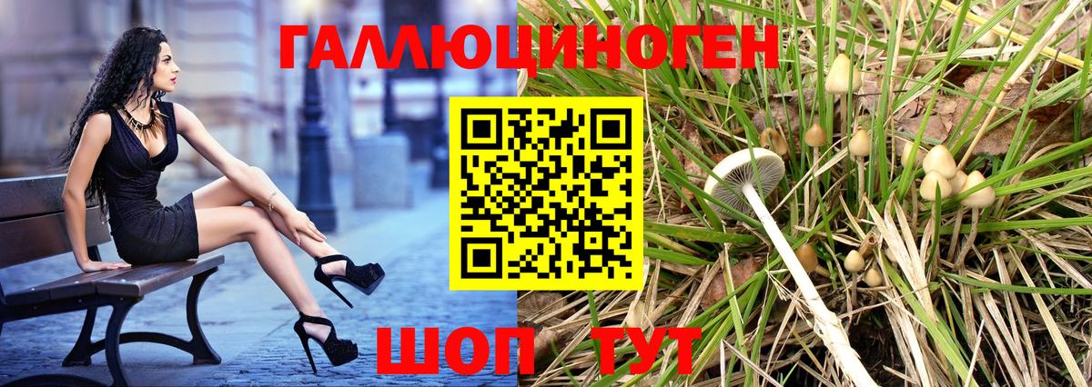 Галлюциногенные грибы прущие грибы  дарнет шоп  Галлюциногенные грибы мицелий  Осинники  Вход с VPN 